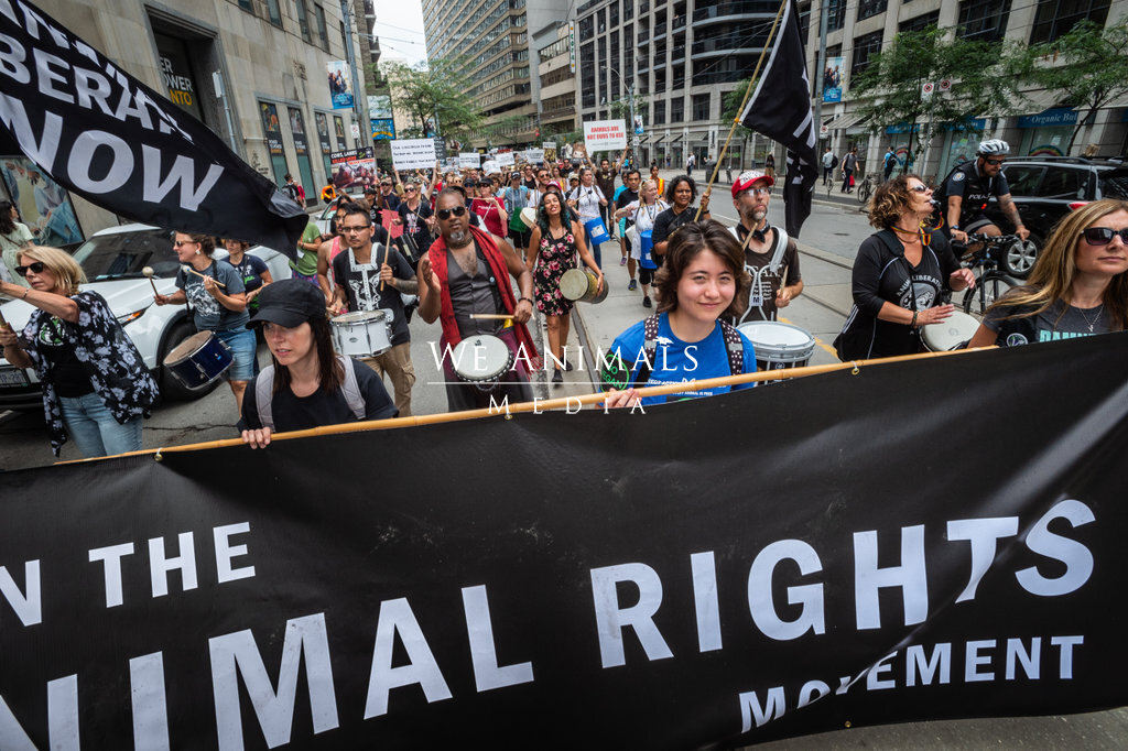 We Animals Media | The Animal Rights March in Toronto.