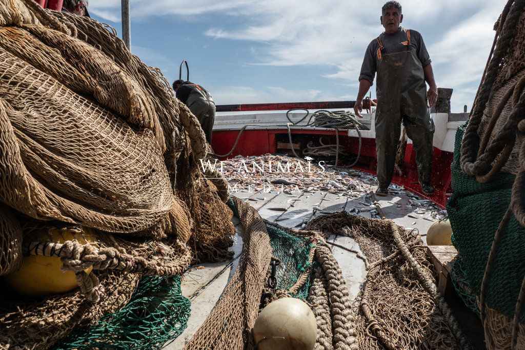 We Animals Media  Detail of the 50 meter long trawler nets aboard